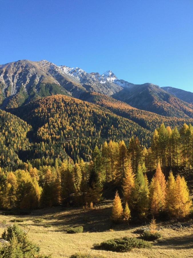 Chesa Sper L'Ovel Brail Daire Zernez Dış mekan fotoğraf