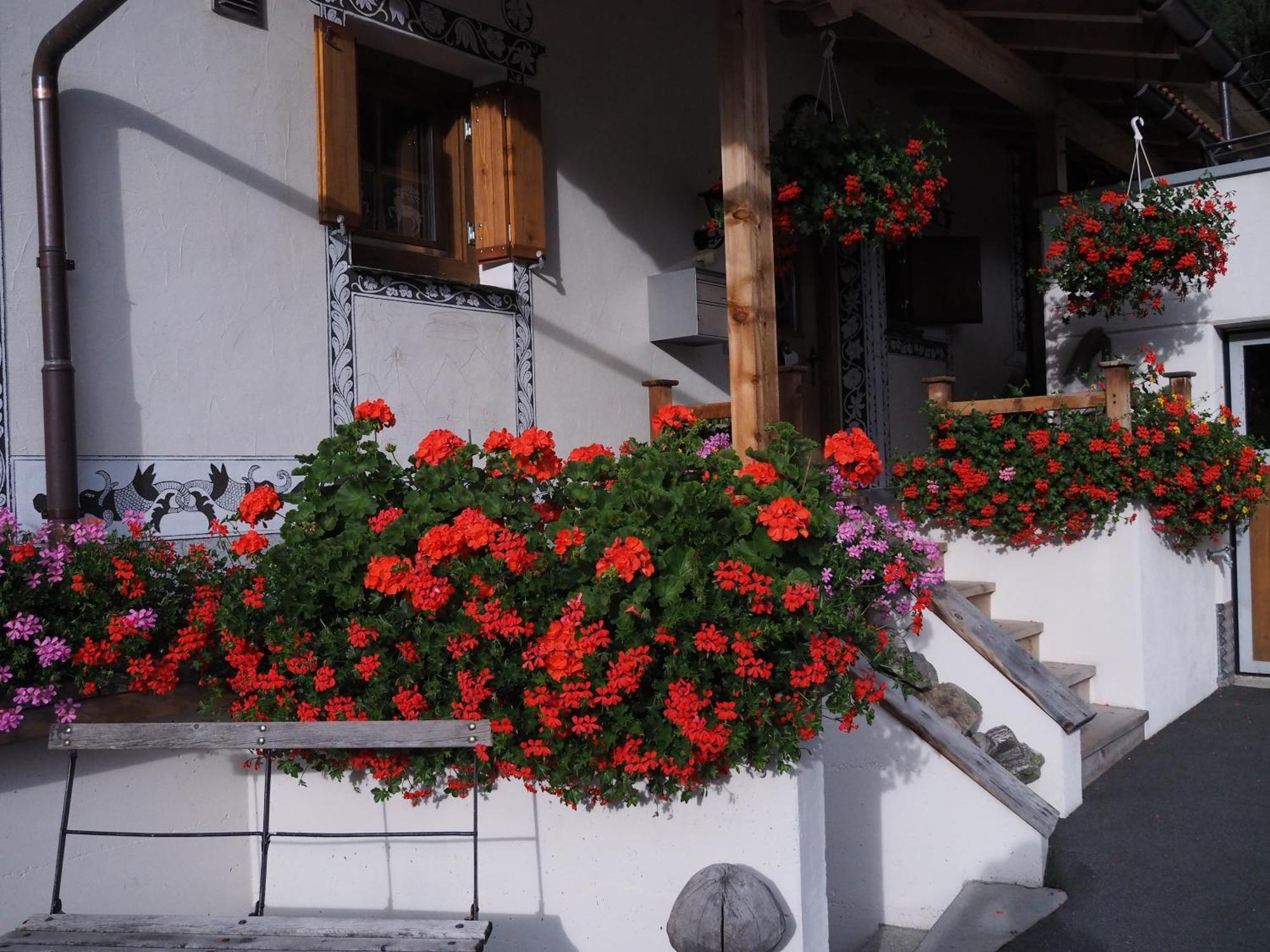 Chesa Sper L'Ovel Brail Daire Zernez Dış mekan fotoğraf