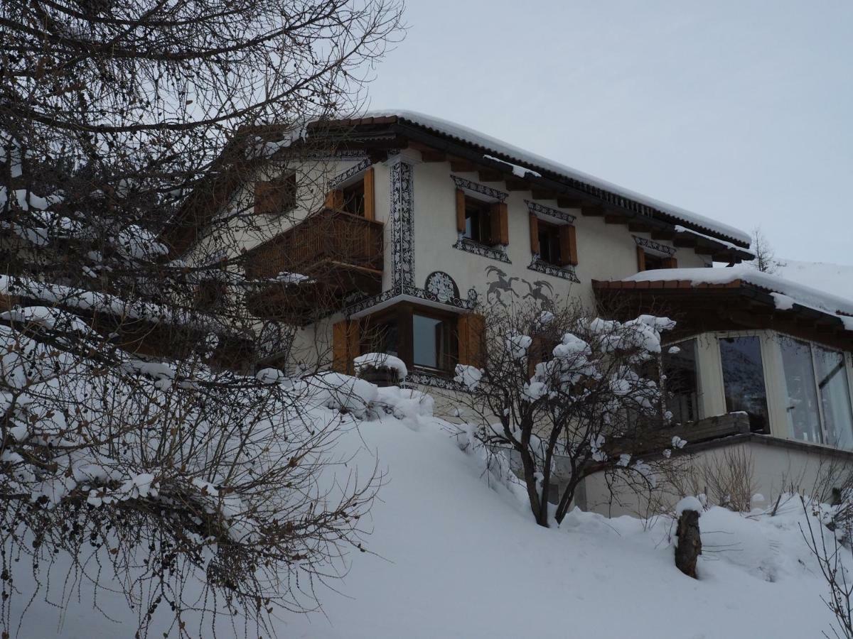 Chesa Sper L'Ovel Brail Daire Zernez Dış mekan fotoğraf